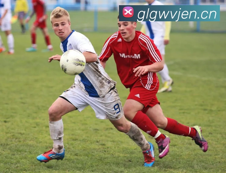 星空网官网首页入口品牌故事